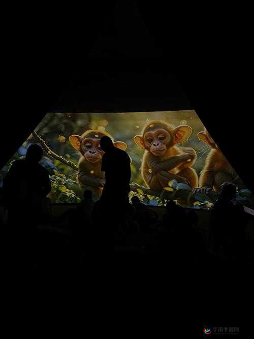 小小影院电视剧在线观看：畅享精彩剧集无极限