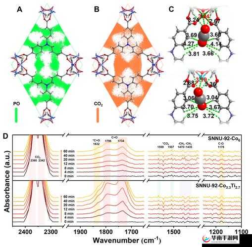 一体六交是哪五个地方：深入探究其背后的意义与影响
