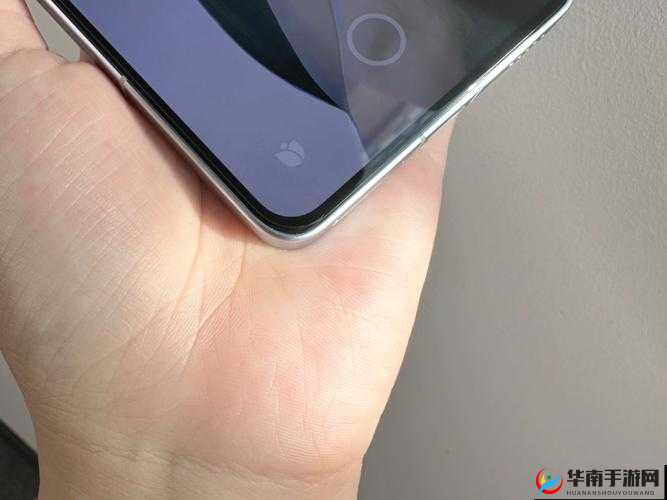 AA 区和 VA 区之间是黑边吗：深入探究屏幕显示之谜