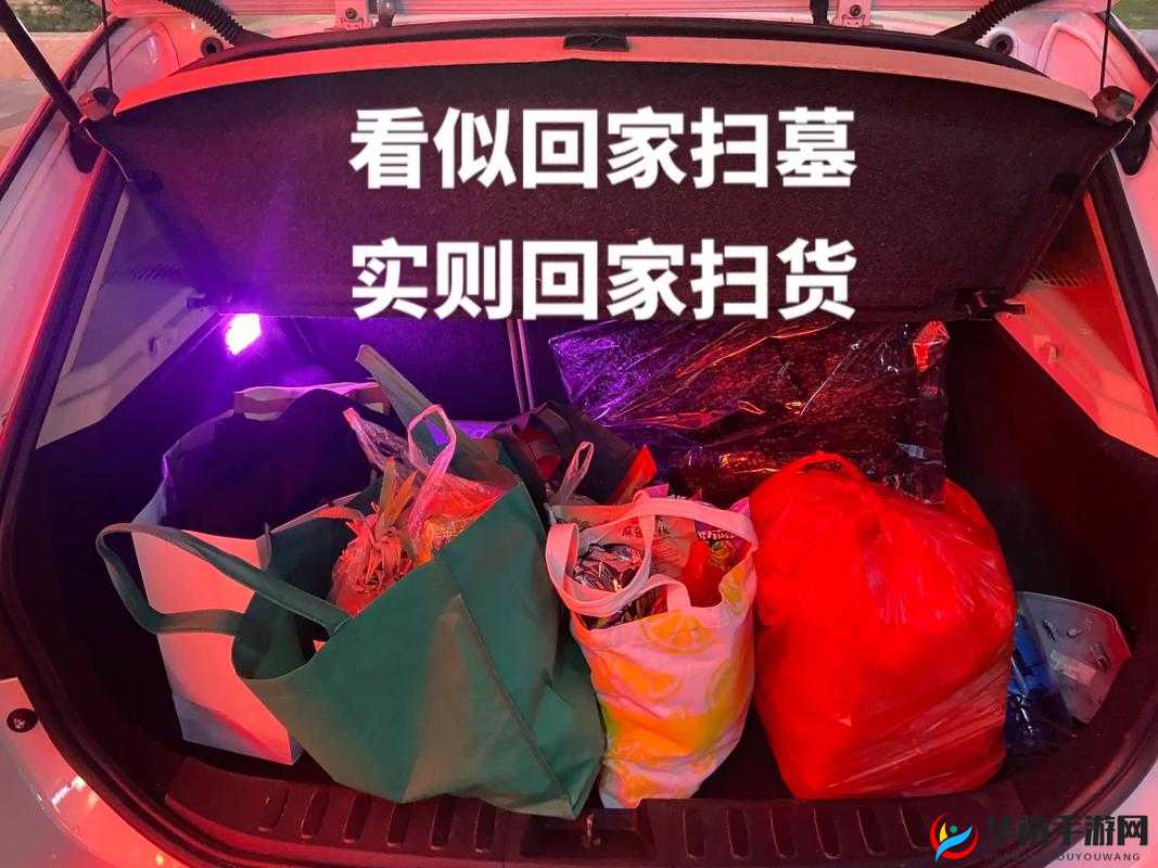 小扫货水能么多叫出来公交车：探寻背后的奇特现象与原因