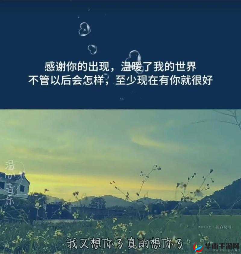 打开你会回来感谢我的 2024：探索未来，预见奇迹