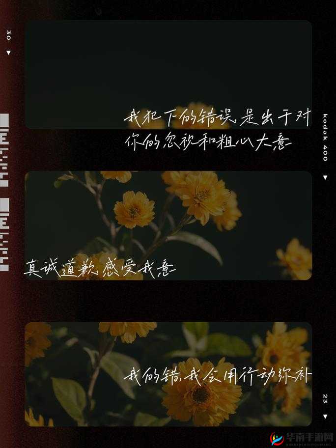 我已知错：请主人原谅，勿需再教训