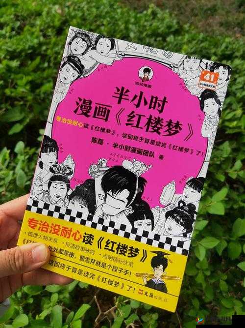 再续红楼梦之全新篇章的续写与解读