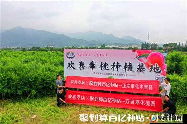 2023 年成立的蜜桃文化传媒有限公司，致力于打造优质内容