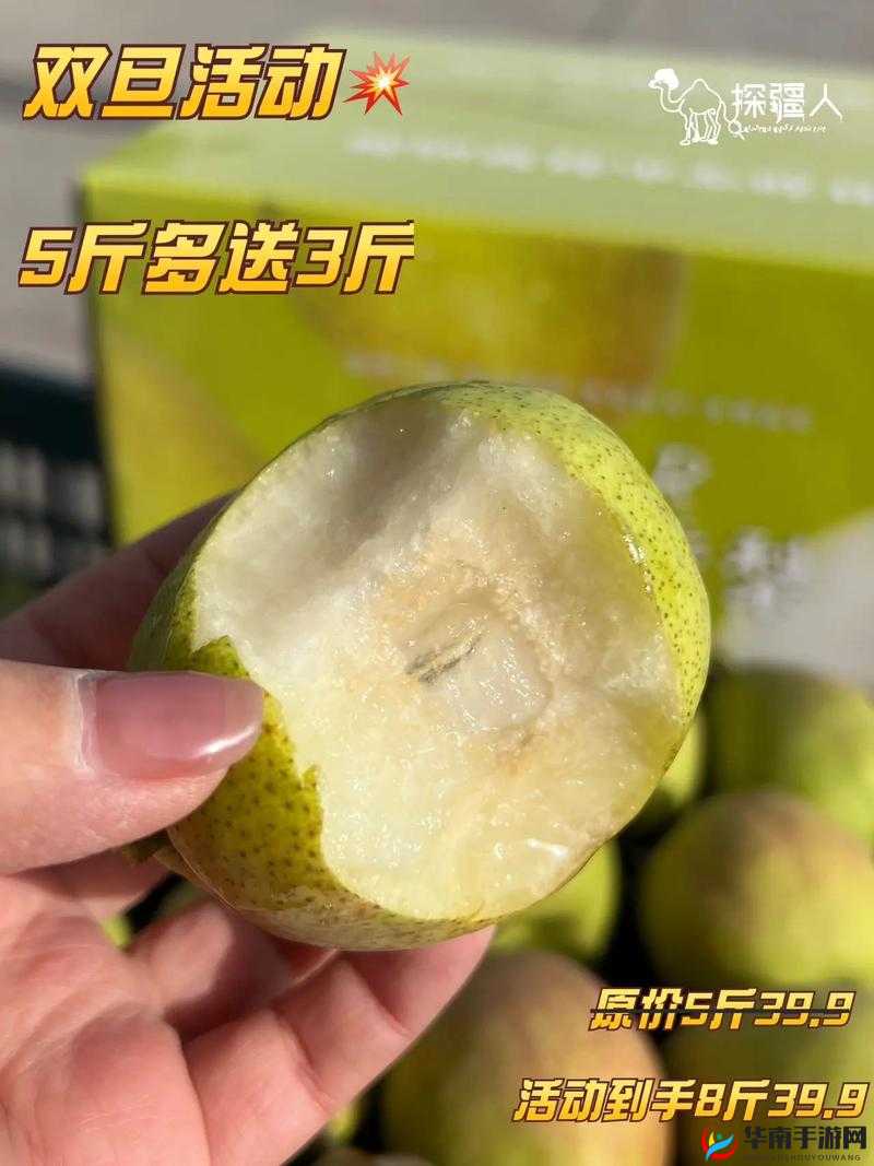 哪种梨为何被誉为梨中皇后：独特魅力与品质探究