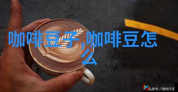 95W 乳液 78WYW 永久区域：探寻其独特魅力与价值所在