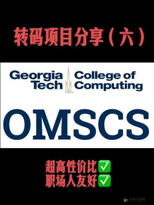 国产矿转码专一 2023：呈现卓越的转码服务体验