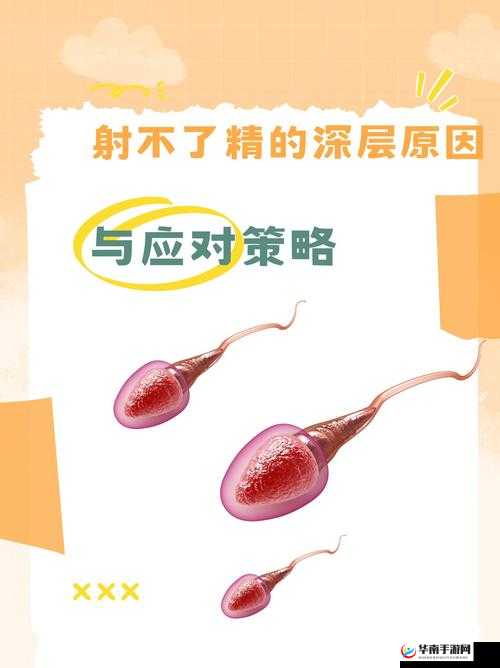 MOSTHDCOECTION 性之重要意义与深远影响的探讨