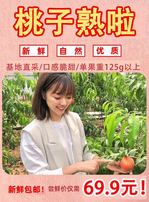 乐山蜜桃传媒有限公司的发展状态持续良好不断前进