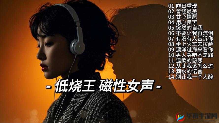 声声入魂 hifi 女声 cd 聆听极致音乐盛宴感受灵魂震撼之音