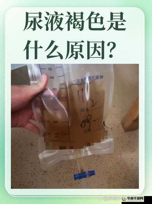 尿在肚子里不能流出来肉所引发的严重后果探讨