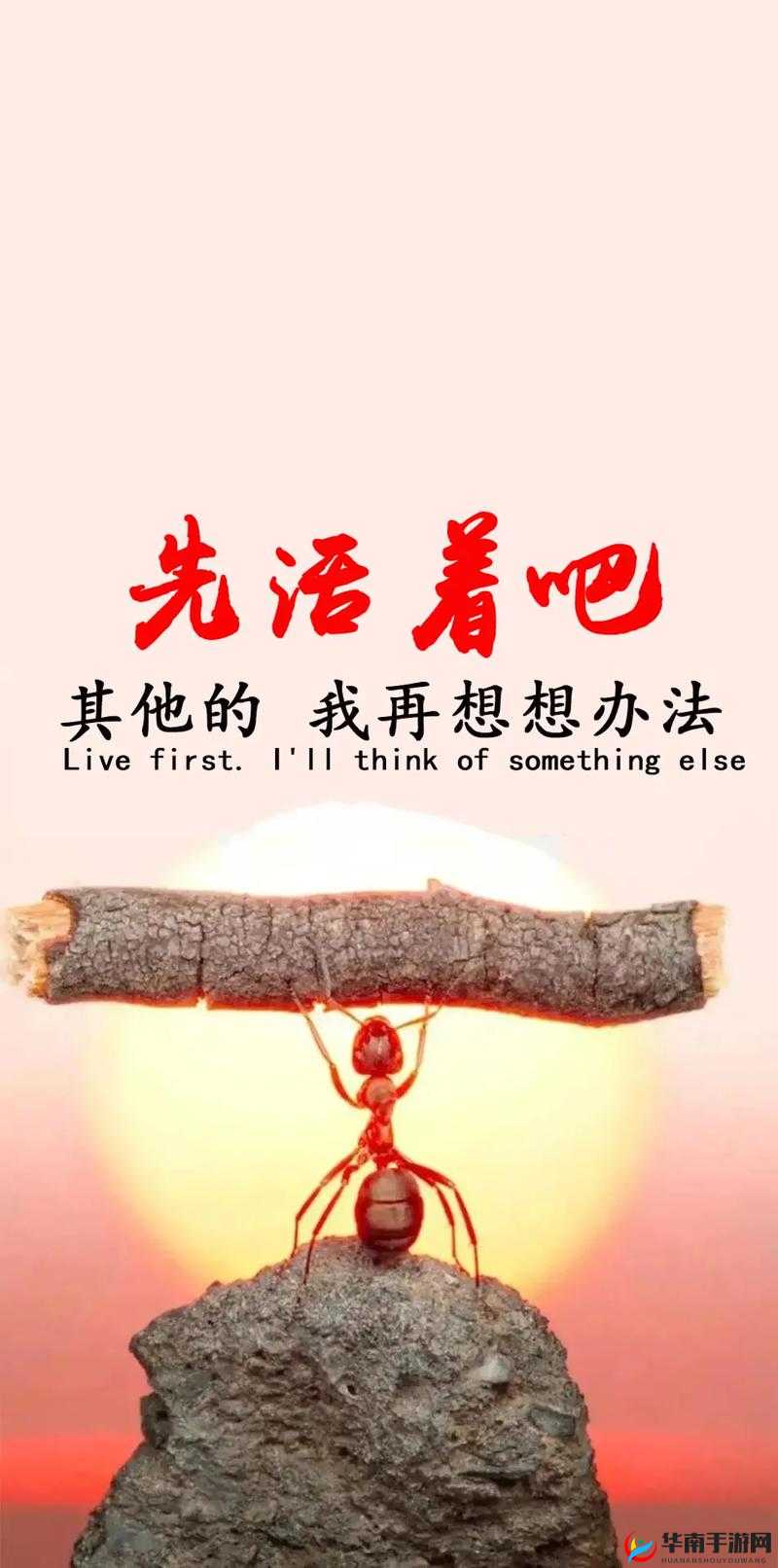 我还没用力你怎就如此痛：令人费解的奇妙感受