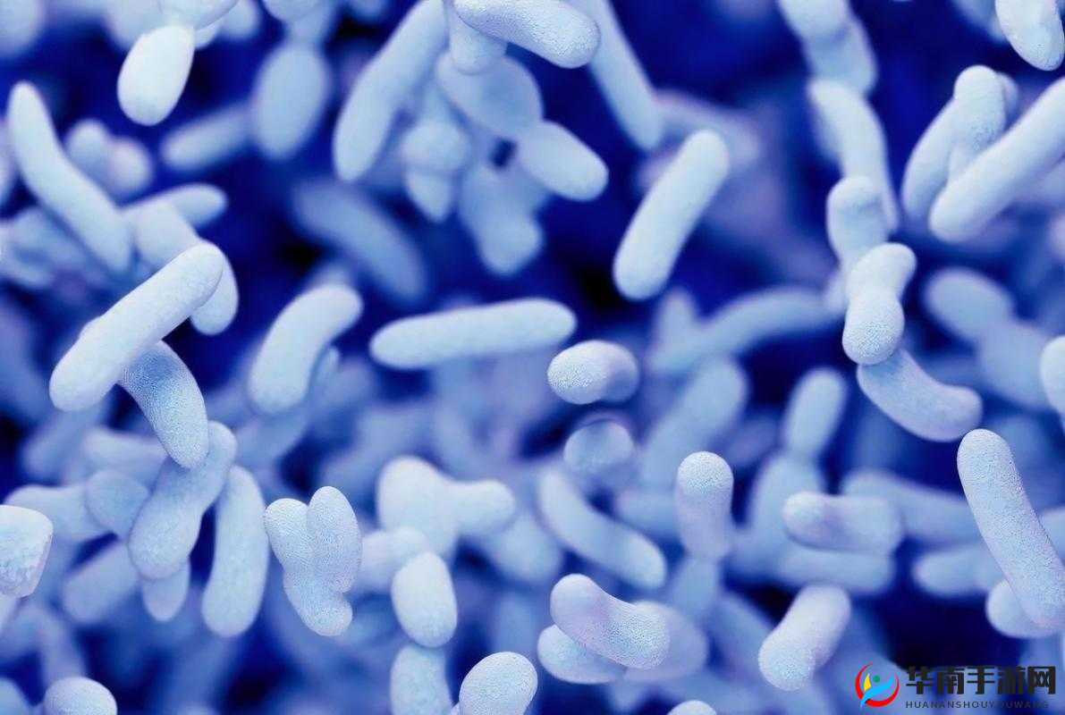 疯狂注射 V2 填词：关于其背后故事及影响的探讨