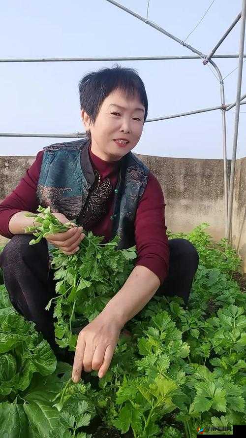 回娘家给老爹灭火：女儿的亲情关怀与智慧化解之道