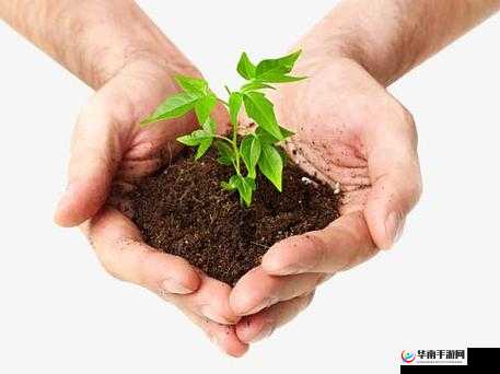 双手在繁茂草丛中探索