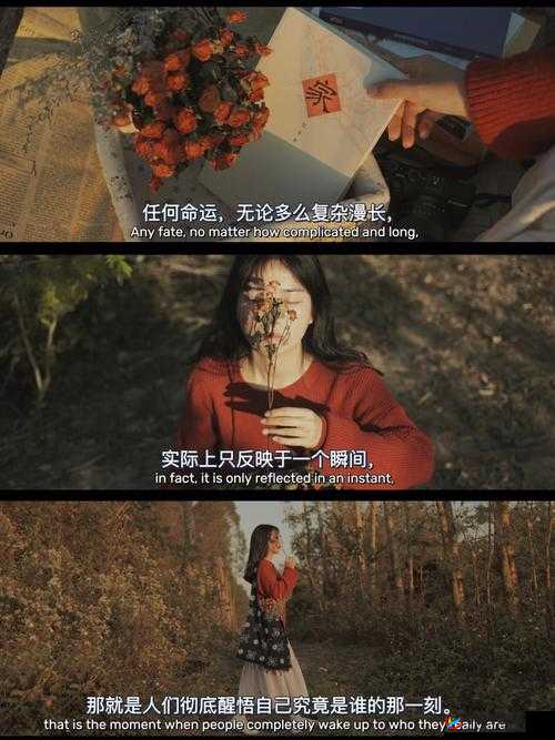 适合二人看的小电影南瓜：温馨相伴的浪漫视觉之旅