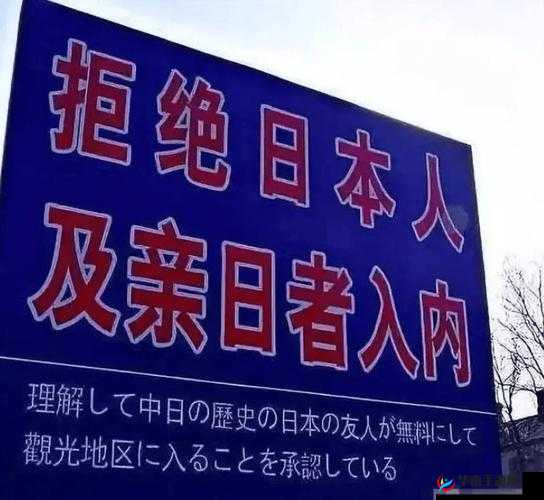 日本人 AA 制是不是很冷漠：探究背后的文化与观念差异