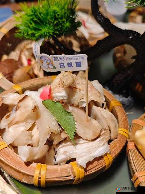 久久丫忘忧草产品：美味独特让你尽享别样风味体验