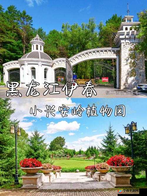 伊春园 2023 入口直达：开启全新梦幻之旅