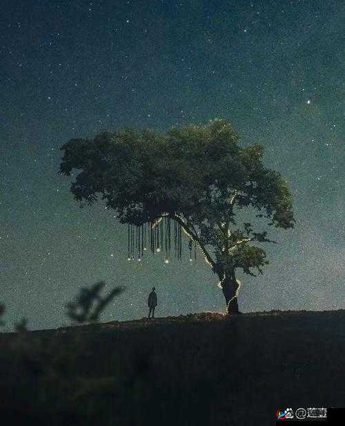 在遥远的地带之外，有一根孤独的电杆，它是那里的唯一守望者