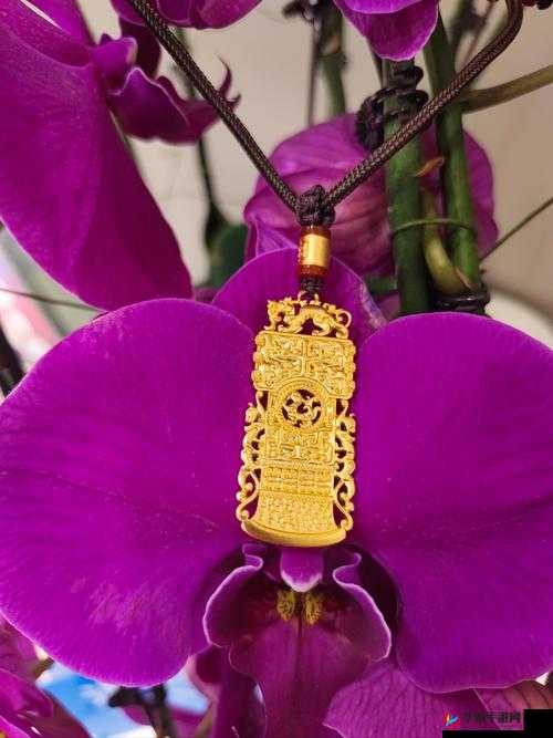 国精产品 999 国精产品视频：独特魅力与非凡呈现