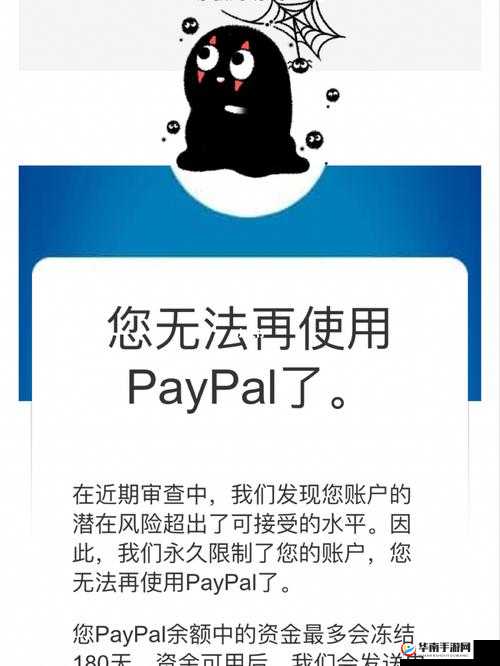 PAYPAL未满十八岁：探究其使用限制与潜在影响