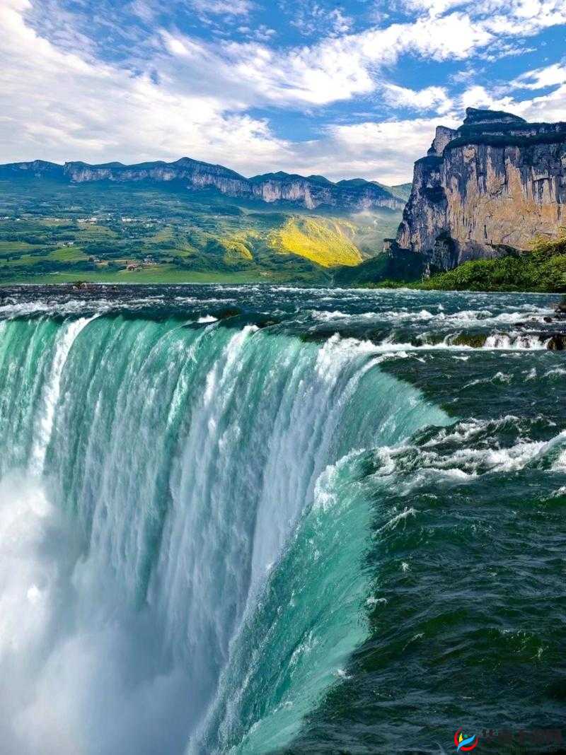 水帘白瀑如饥似渴：一丛金黄，震撼心灵的自然奇观