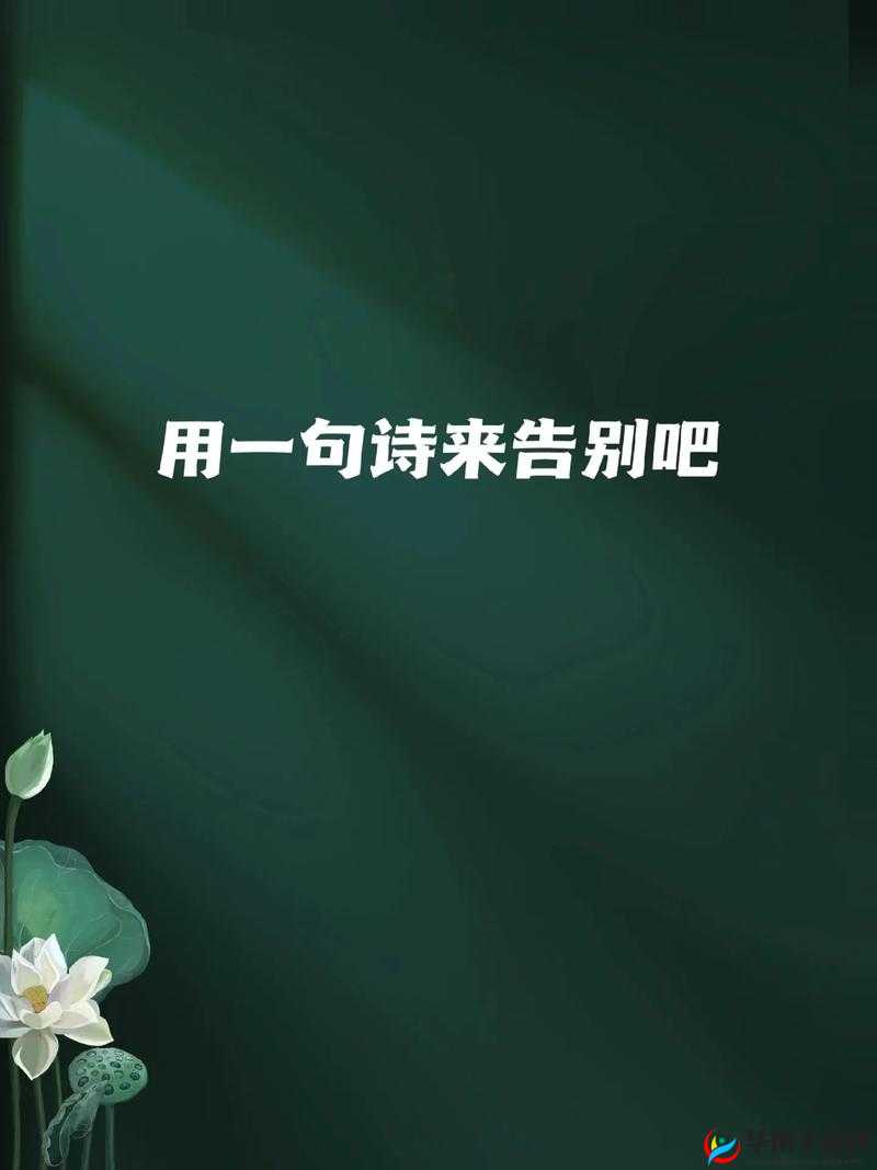 小扫货水叫出来最简单处理将停服修整：技术维护，短暂告别