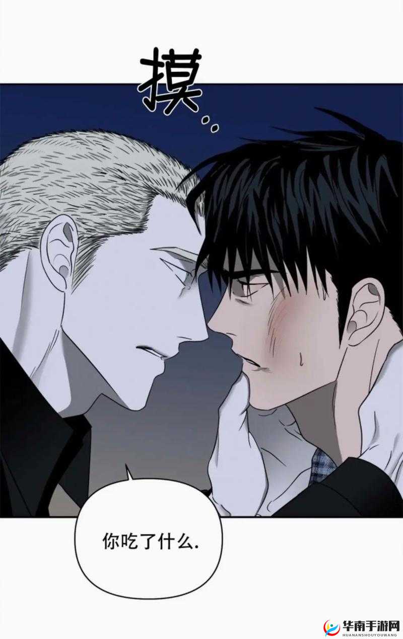 双产年上双男主之命运交织的传奇之旅