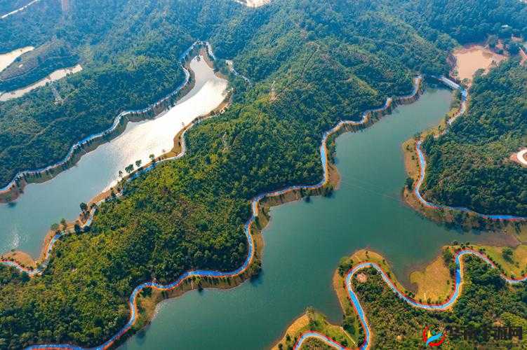 重游母亲桃花源：探寻记忆中的美好与温暖