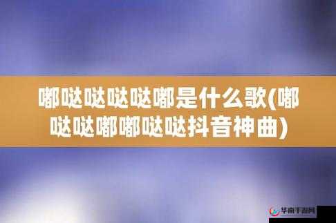 白天摸摸哒晚上摸摸哒是什么歌：探寻其独特魅力所在