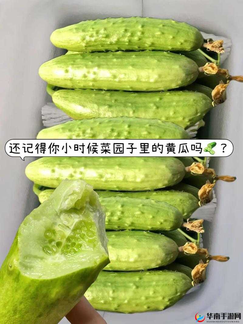 用黄瓜自愈时是否削皮？这是个问题