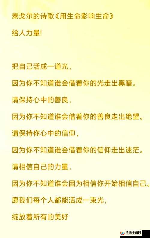 午夜的坚持：在黑暗中寻找希望之光的不懈努力