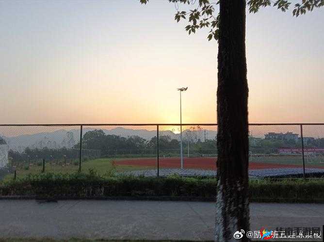 朝阳初升：活力校园的一小时