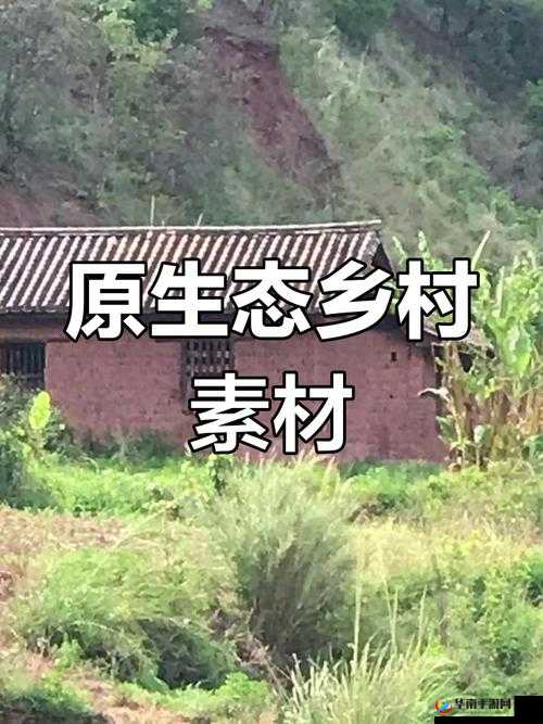 田园风情：在乡村探索风流的奥秘
