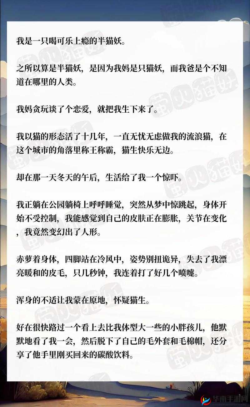 三只狼兄的宠妻宋钦：他们对宋钦的无尽宠爱令人艳羡