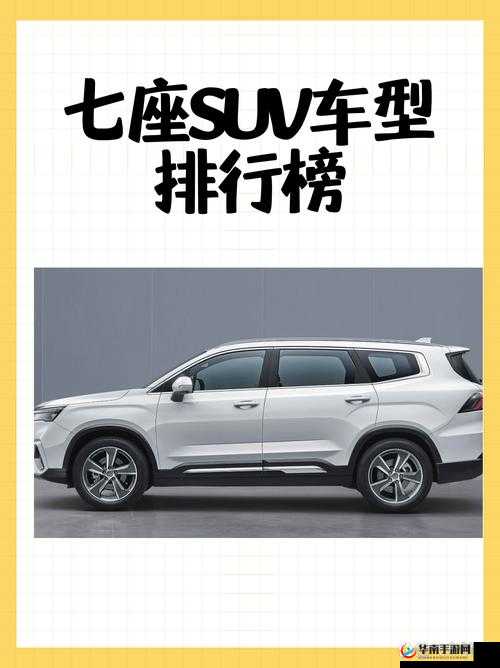 国产 SUV 精二区 69：空间宽敞，动力强劲，配置丰富，性价比高