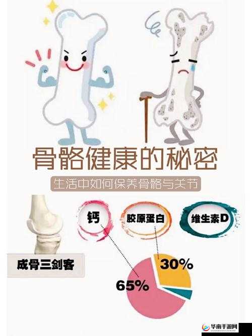 起来还在 C 骨科：探寻骨骼健康的奥秘