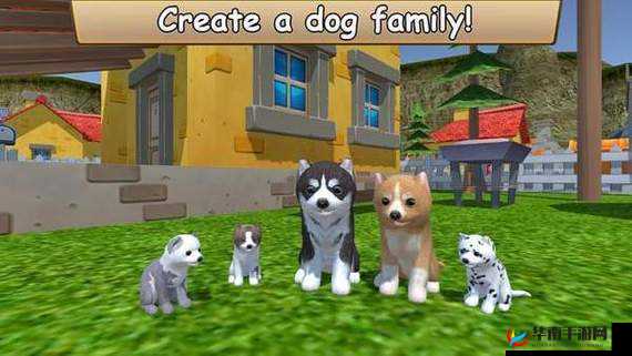 Zoom 与动物 Zoom 合作项目：开启奇妙动物世界之旅