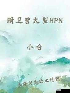 暗卫营大型 HPN 的具体功能是什么：深入探究与解析