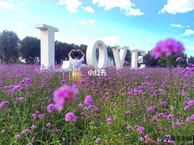 伊甸园一路二路三路四路入口位置：探索神秘的通道与奇妙景象之处