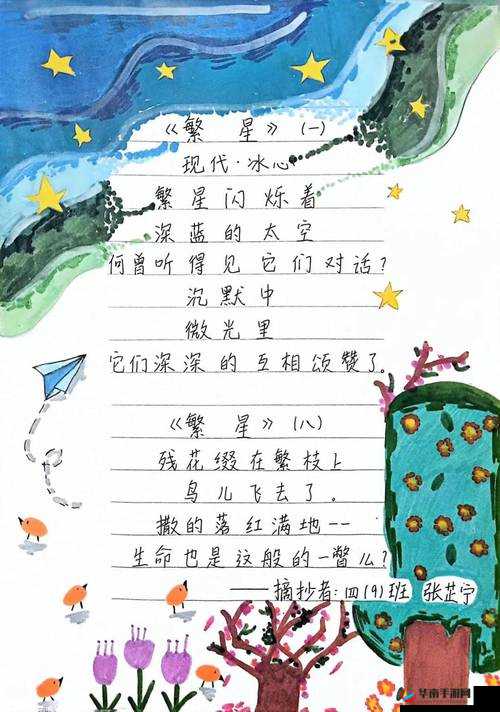 码海拾贝之精彩内容的探寻与发现