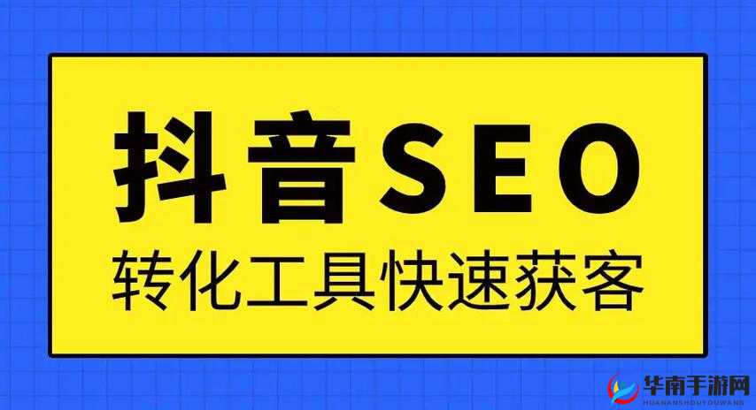 seo 短视频网页入口引流：助力流量高效转化