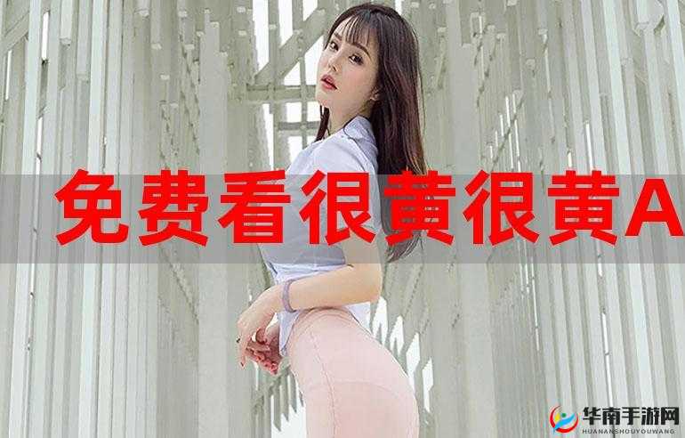 今天高清视频免费播放被破解引发热议