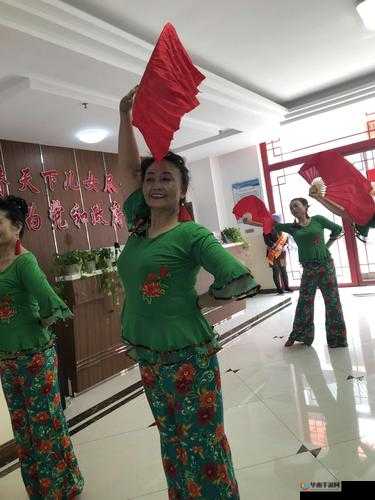 55 岁大妈玩 CSGO 展现别样风采与激情