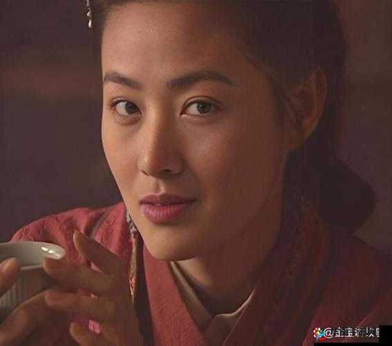 国产 99 久久久国产精品潘金莲竟见不得人：背后隐藏的故事与真相