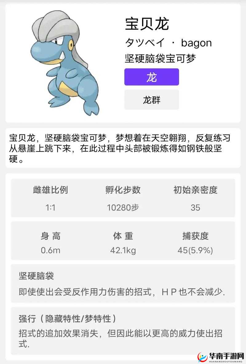 暴飞龙特性搞自信过度之独特表现探讨