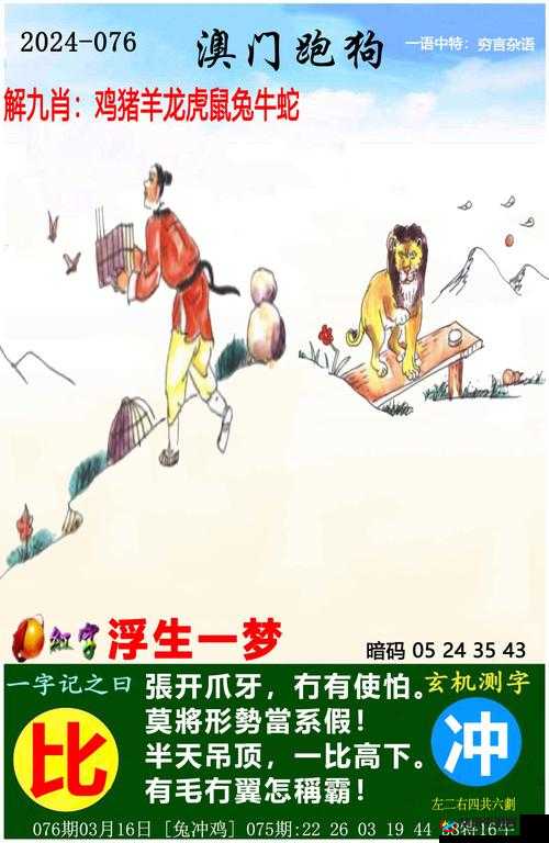 无线乱码 A 区 B 区 C 区 D 区域探秘：神秘背后的故事与玄机