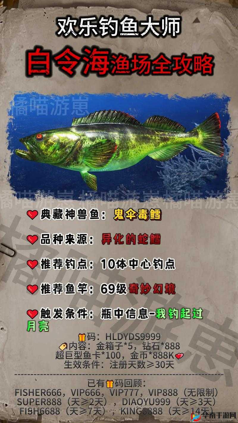 超奇珍鱼大揭秘：欢乐钓鱼大师的终极秘籍
