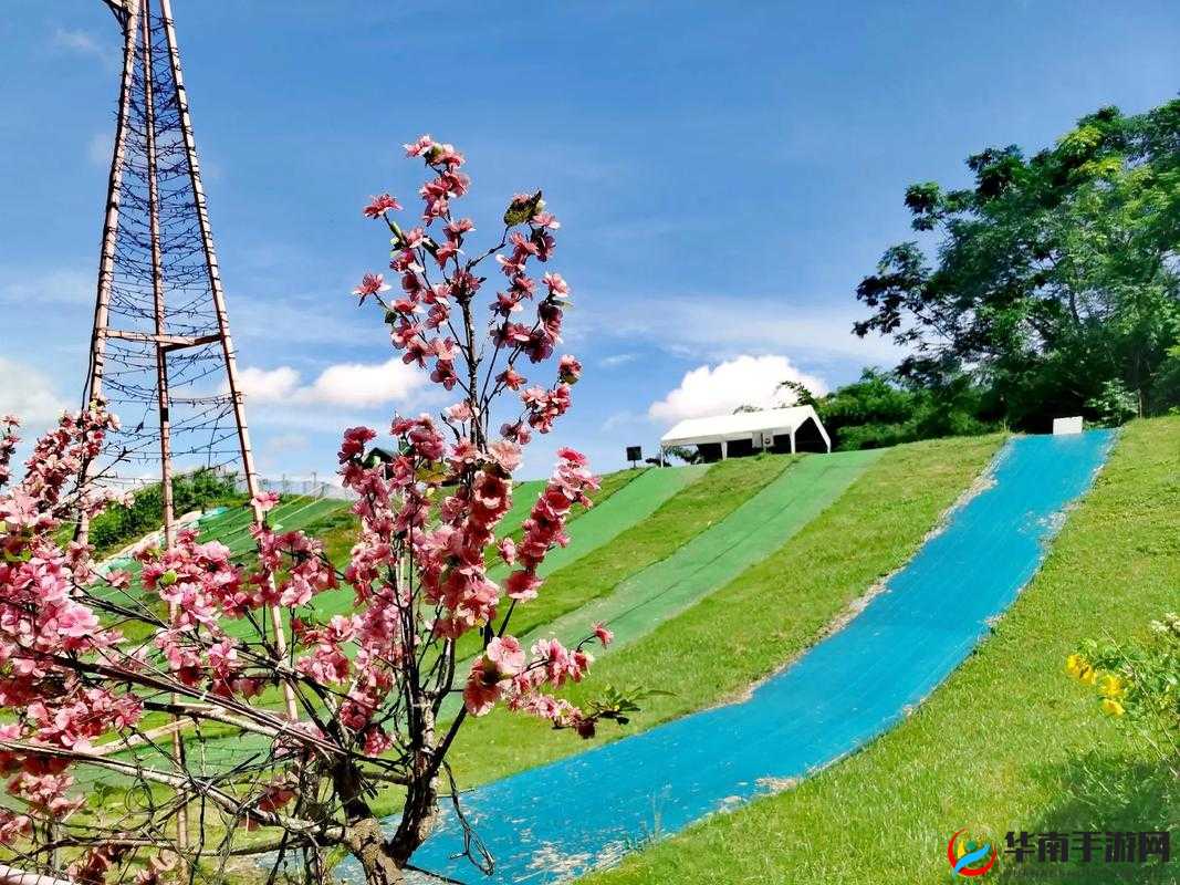 海角精产国品一二三：带你领略不一样的世界